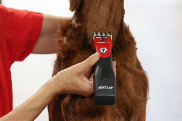 AESCULAP Akkuschermaschine Favorita CLi